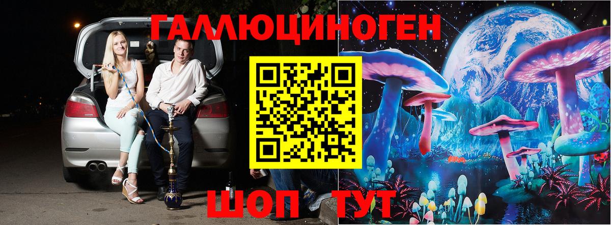 Менделеевск  Псилоцибиновые грибы мухоморы  Вход с VPN 