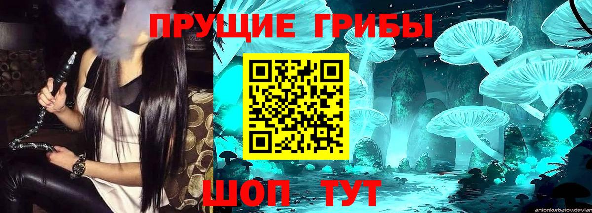 Псилоцибиновые грибы Psilocybine cubensis Менделеевск